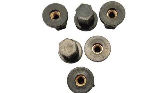 Dom Nuts Suppliers in Delhi